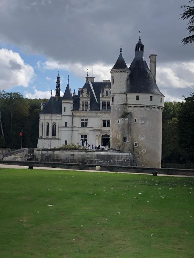 La Petite Jucherie Saint-Hippolyte  Extérieur photo