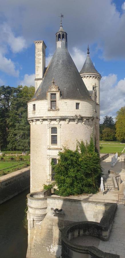 La Petite Jucherie Saint-Hippolyte  Extérieur photo
